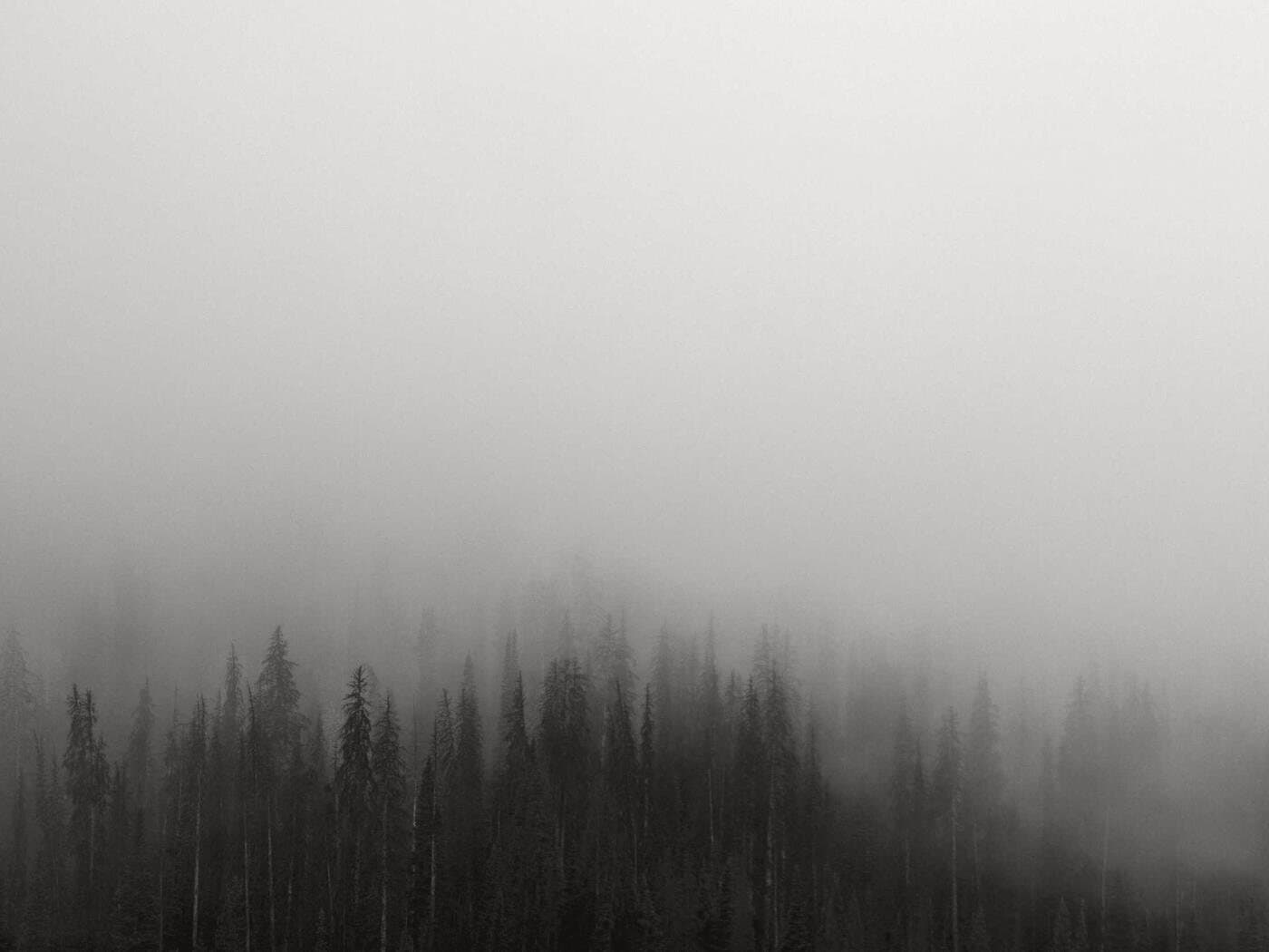 Корпоративна вечер — снимка 4